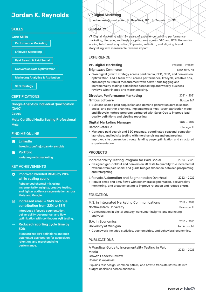 디지털 마케팅 부사장 example resume