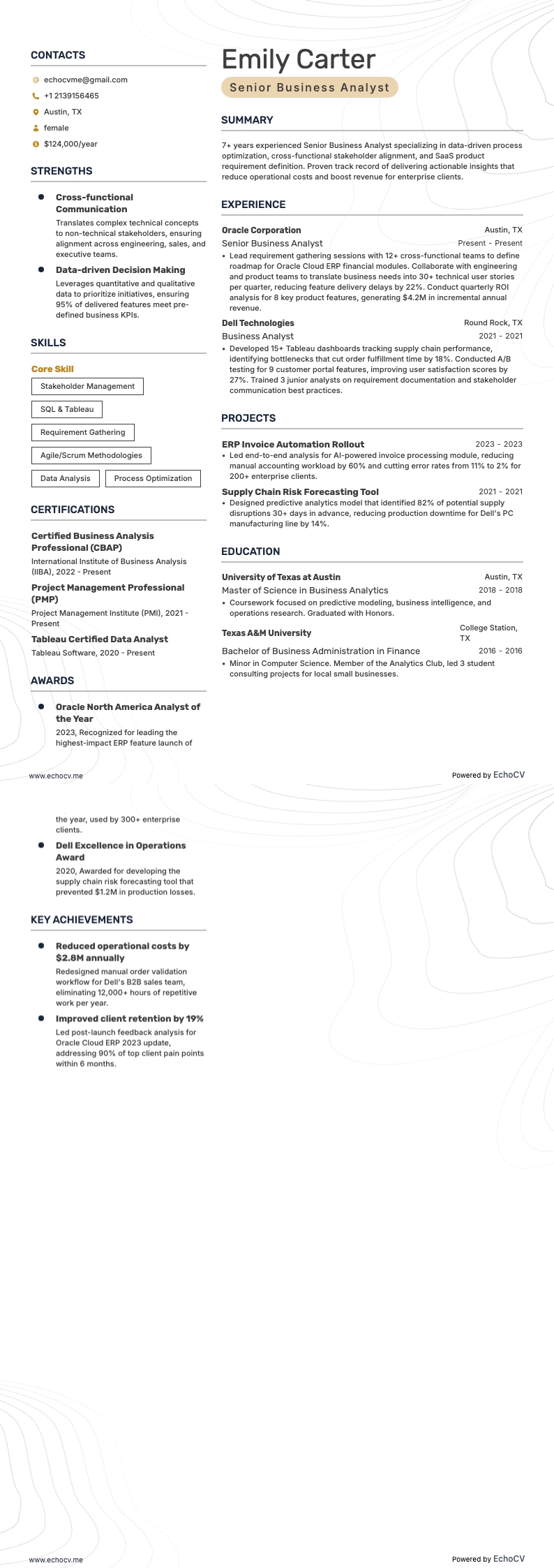 Senior Business Analyst example resume