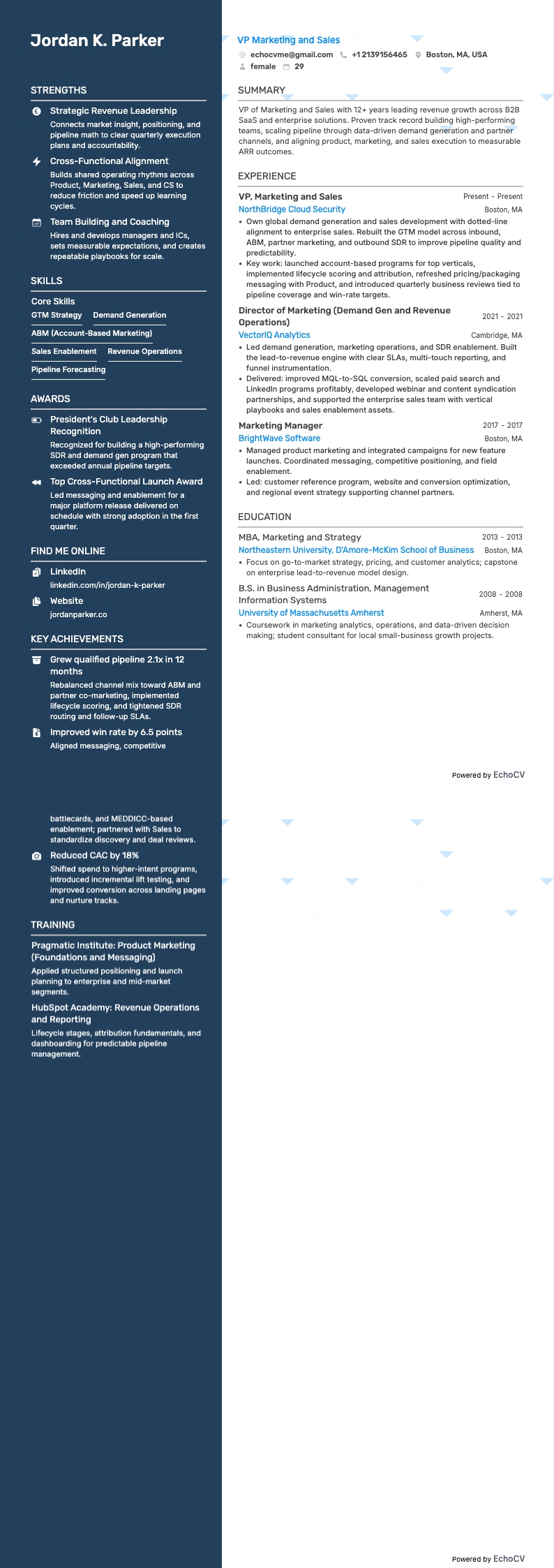 마케팅 및 영업 VP example resume