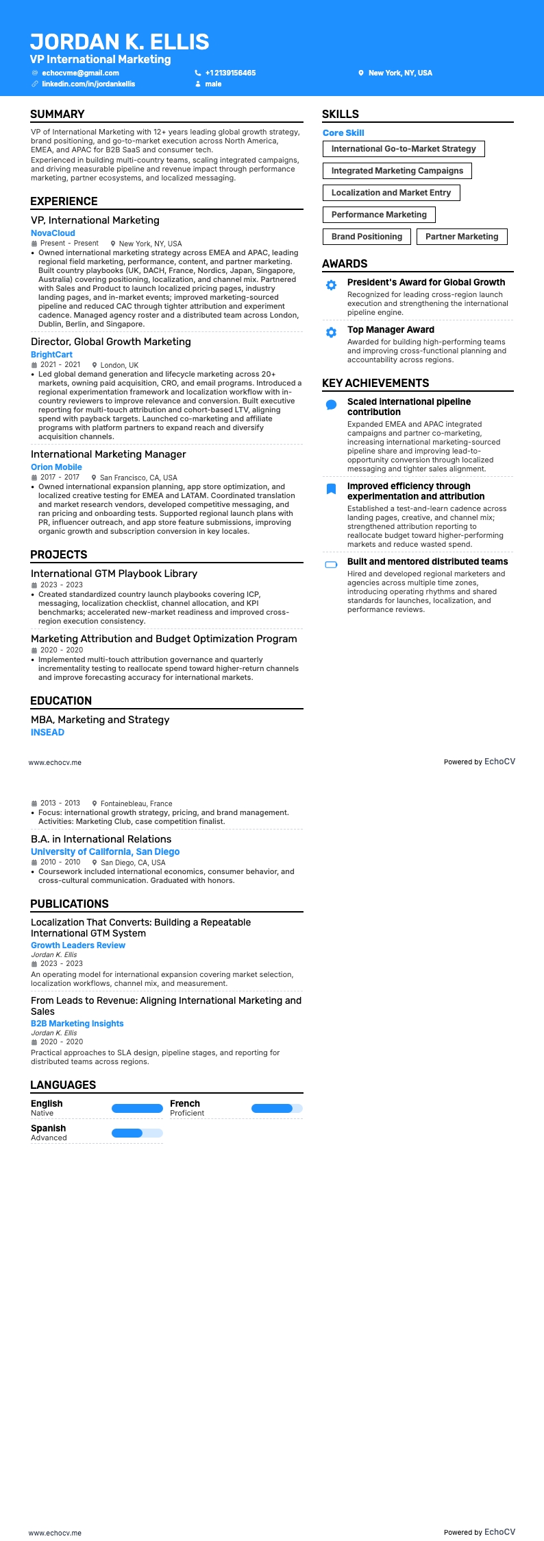 국제 마케팅 VP example resume