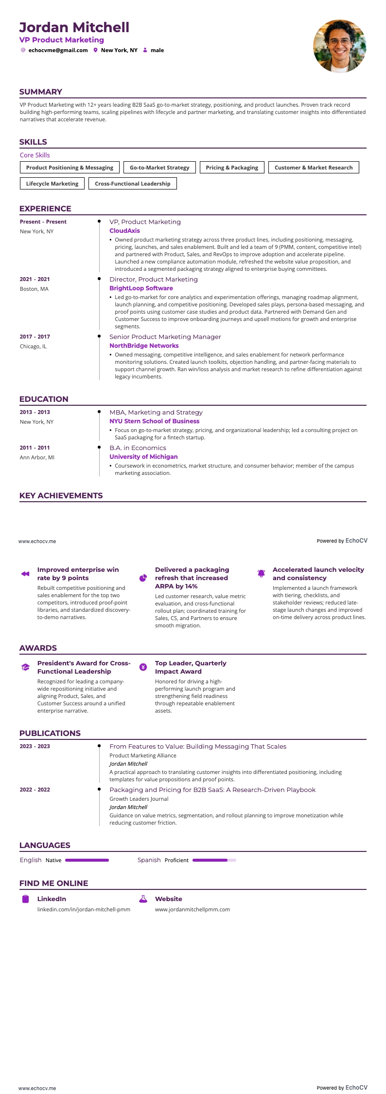 VP Marketing resume example