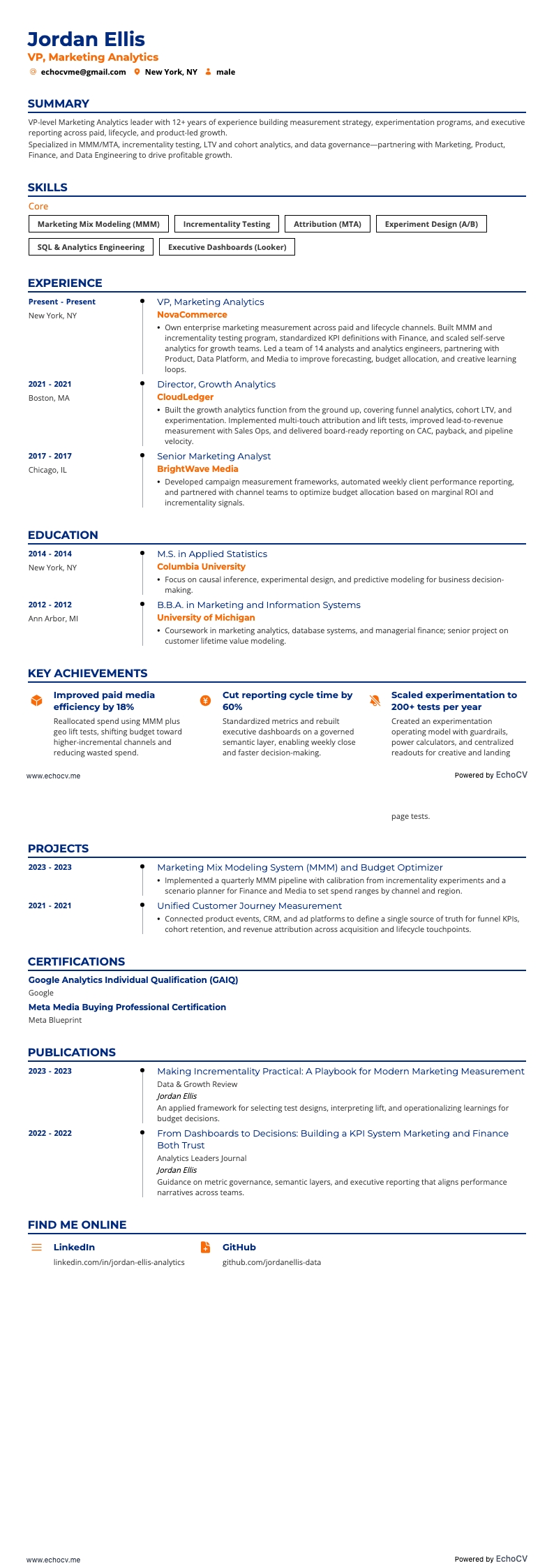 마케팅 분석 VP example resume