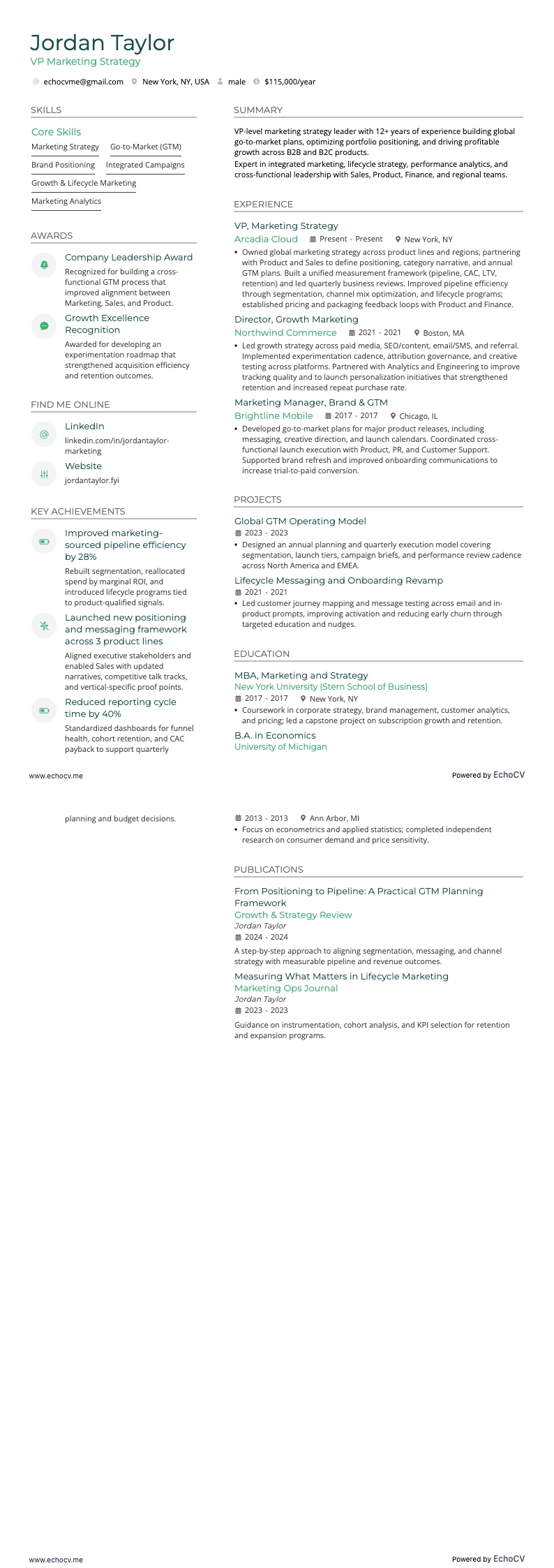 마케팅 전략 VP example resume