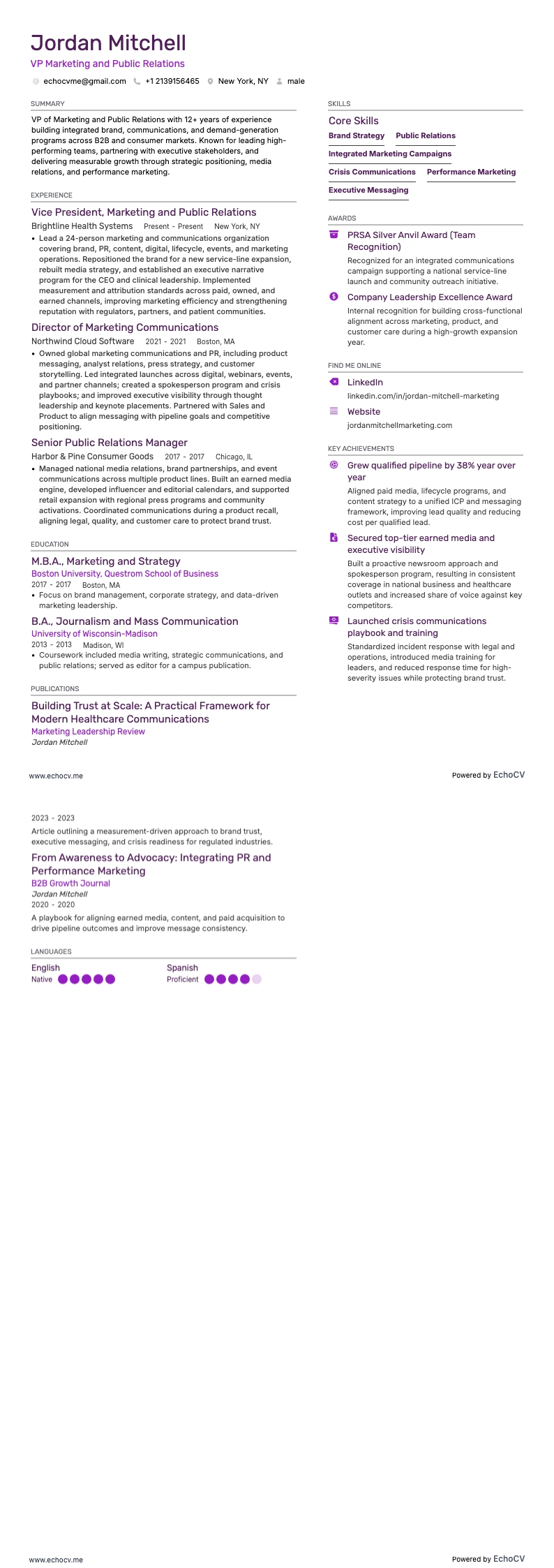 行銷副總裁 resume example