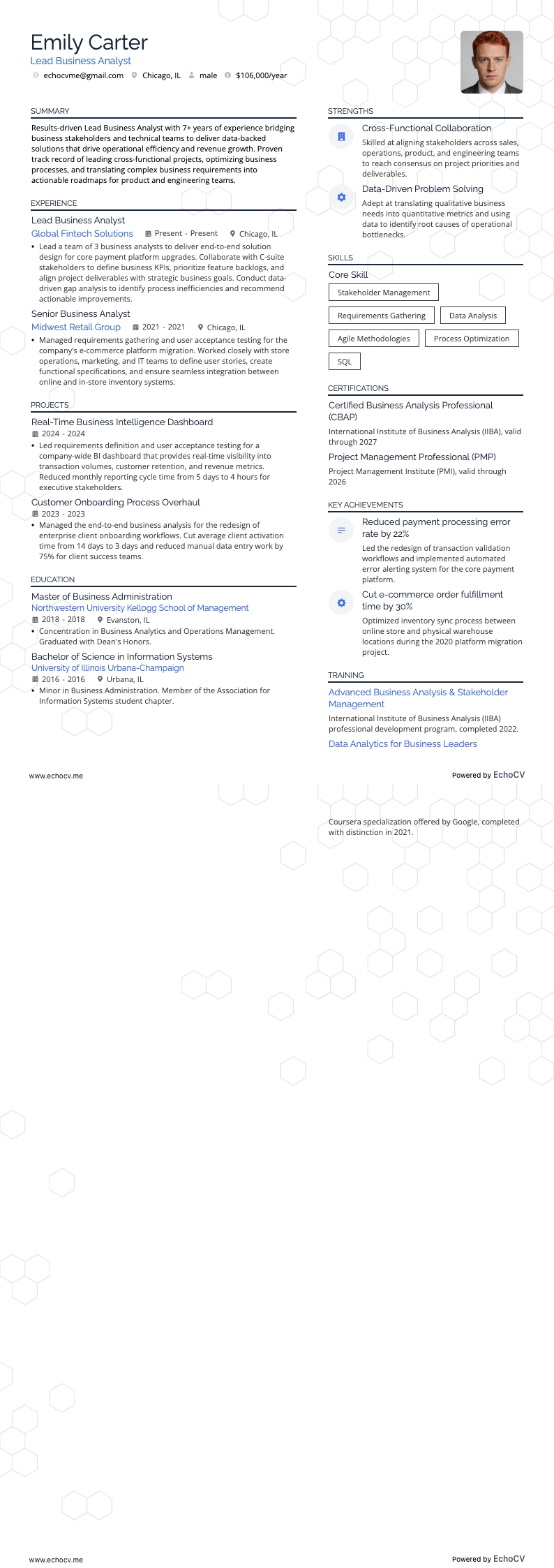 Lead Business Analyst example resume