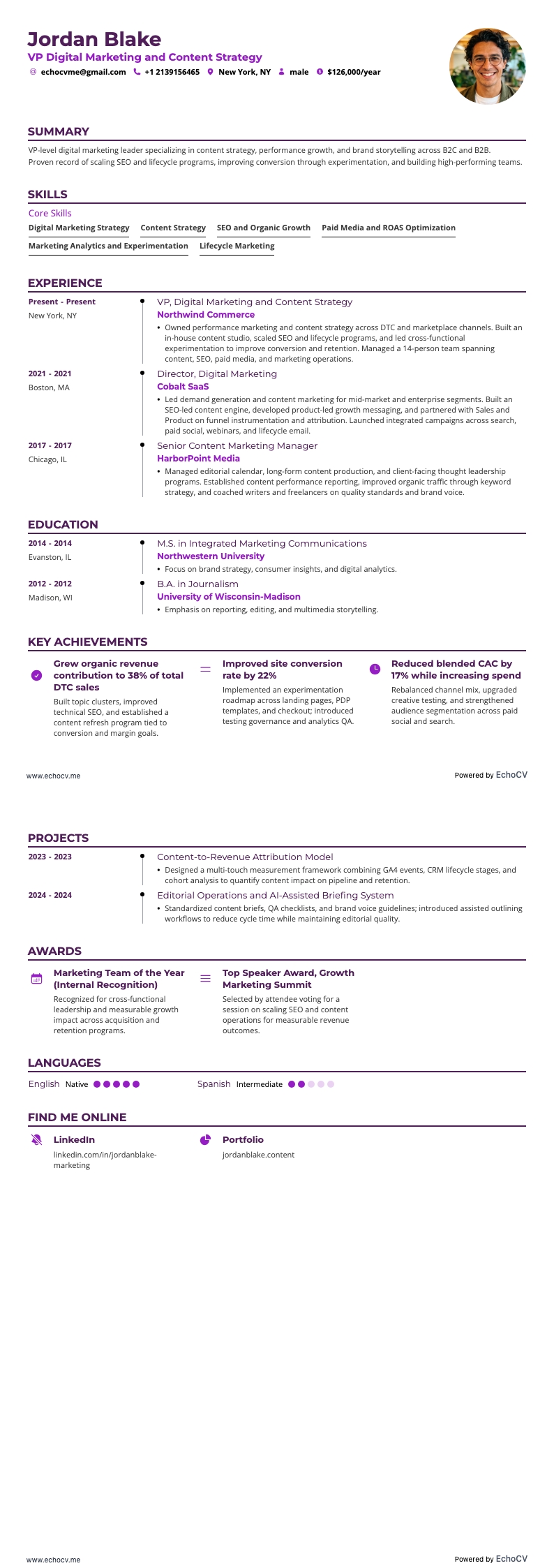VP Digital Marketing and Content Strategy example resume
