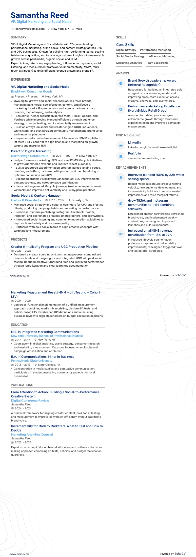 VP Digital Marketing and Social Media example resume