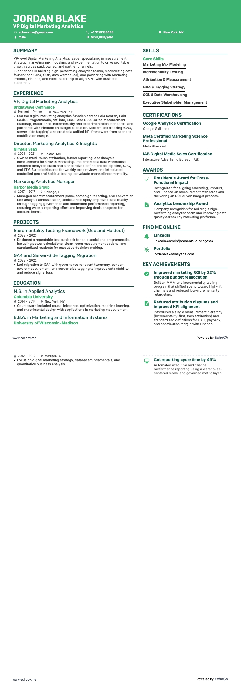 VP Digital Marketing Analytics example resume