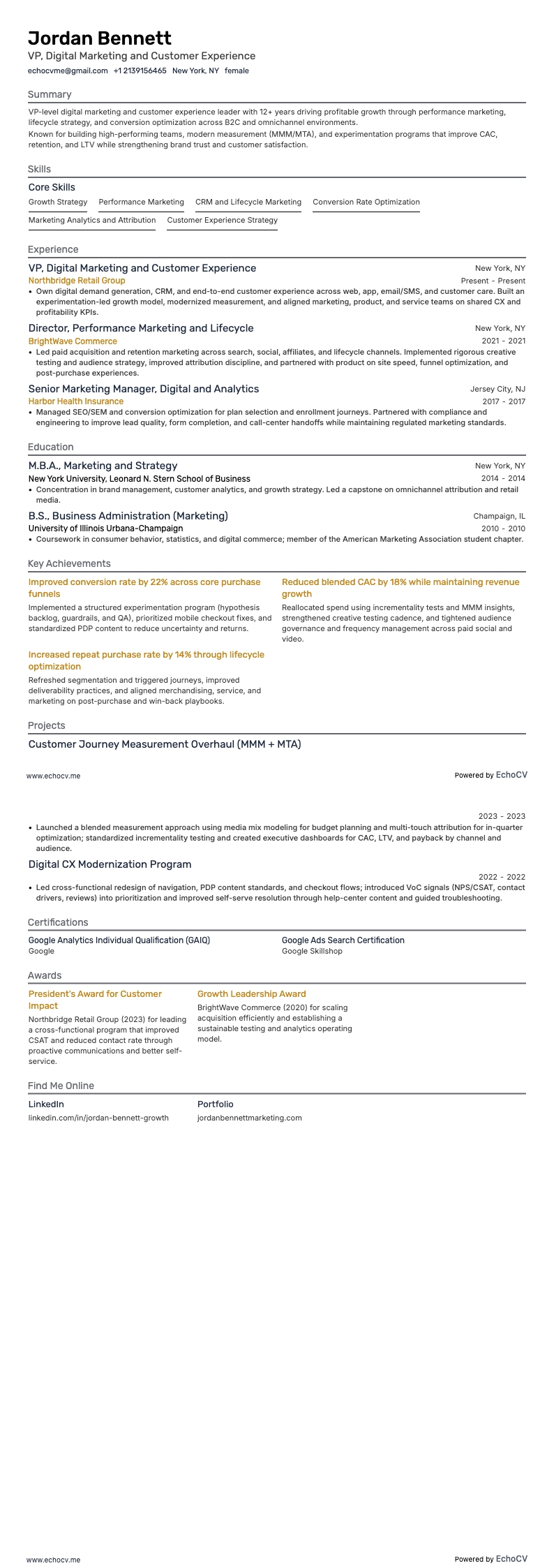 VP Digital Marketing and Customer Experience example resume