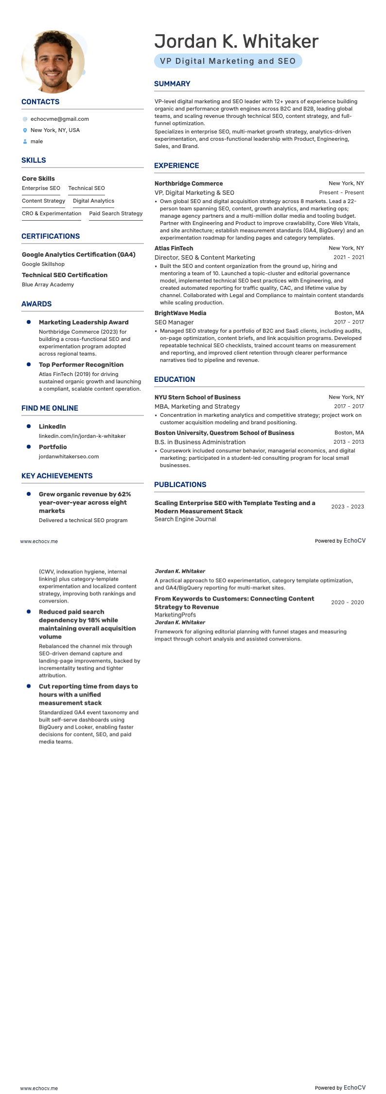 VP Digital Marketing and SEO example resume