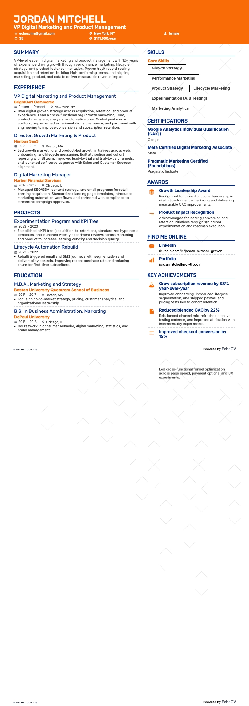 VP Digital Marketing and Product Management example resume