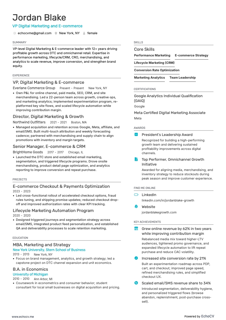 VP Digital Marketing and E-commerce example resume