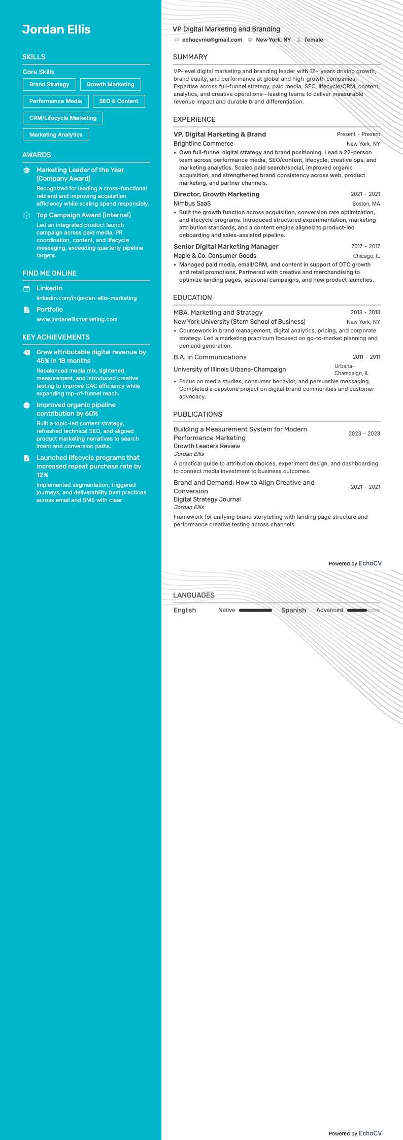 VP Digital Marketing and Branding example resume