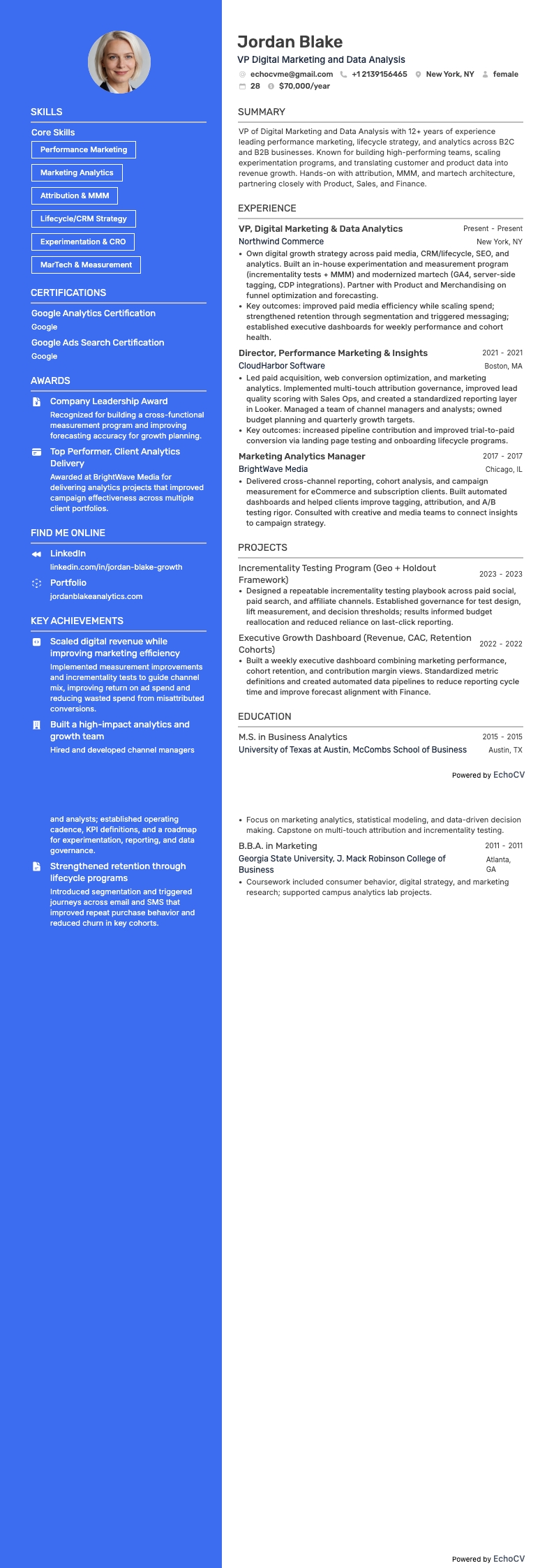 VP Digital Marketing and Data Analysis example resume