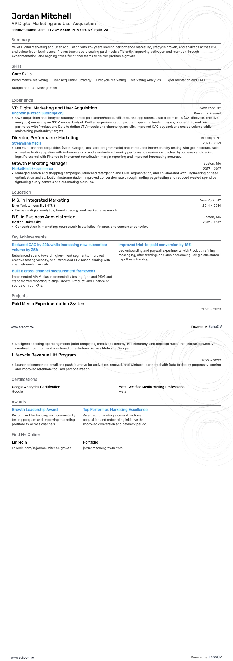 VP Digital Marketing and User Acquisition example resume