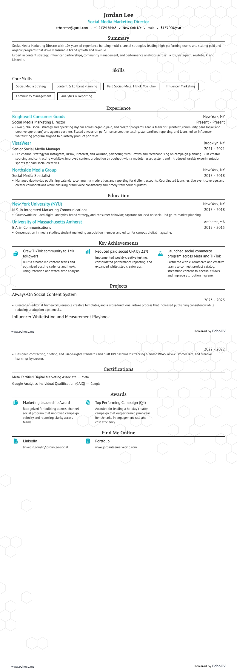 Social Media Marketing Director example resume