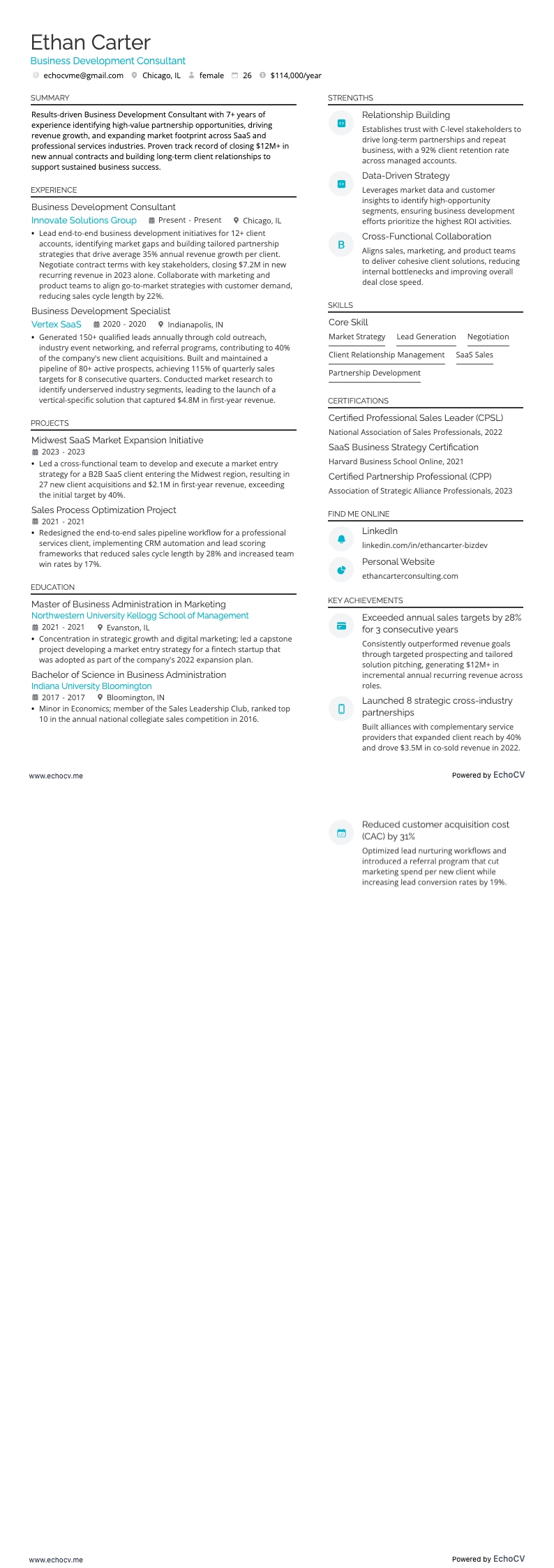 Business Development Consultant example resume