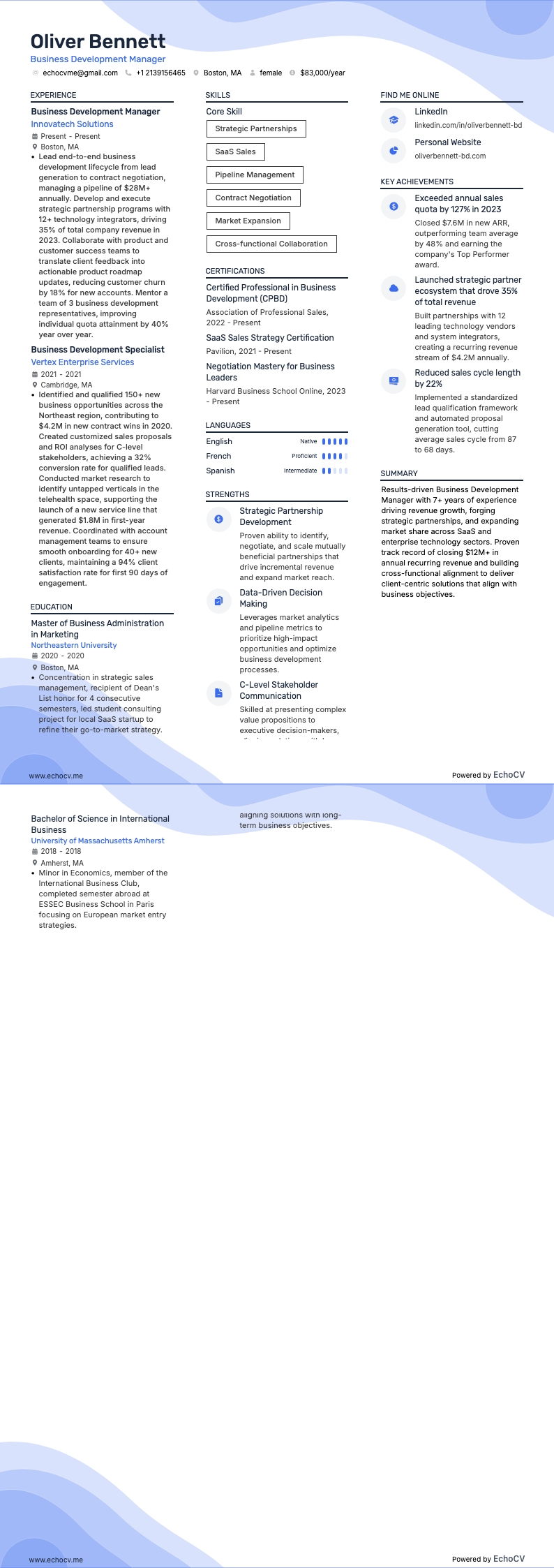 Business Development Manager example resume