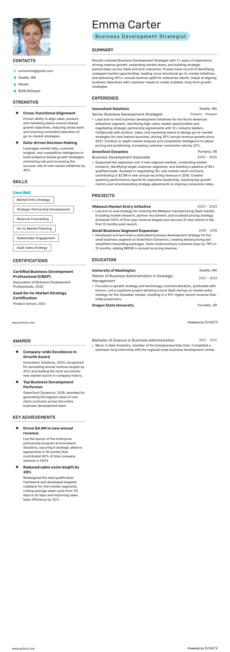 Business Development Strategist example resume