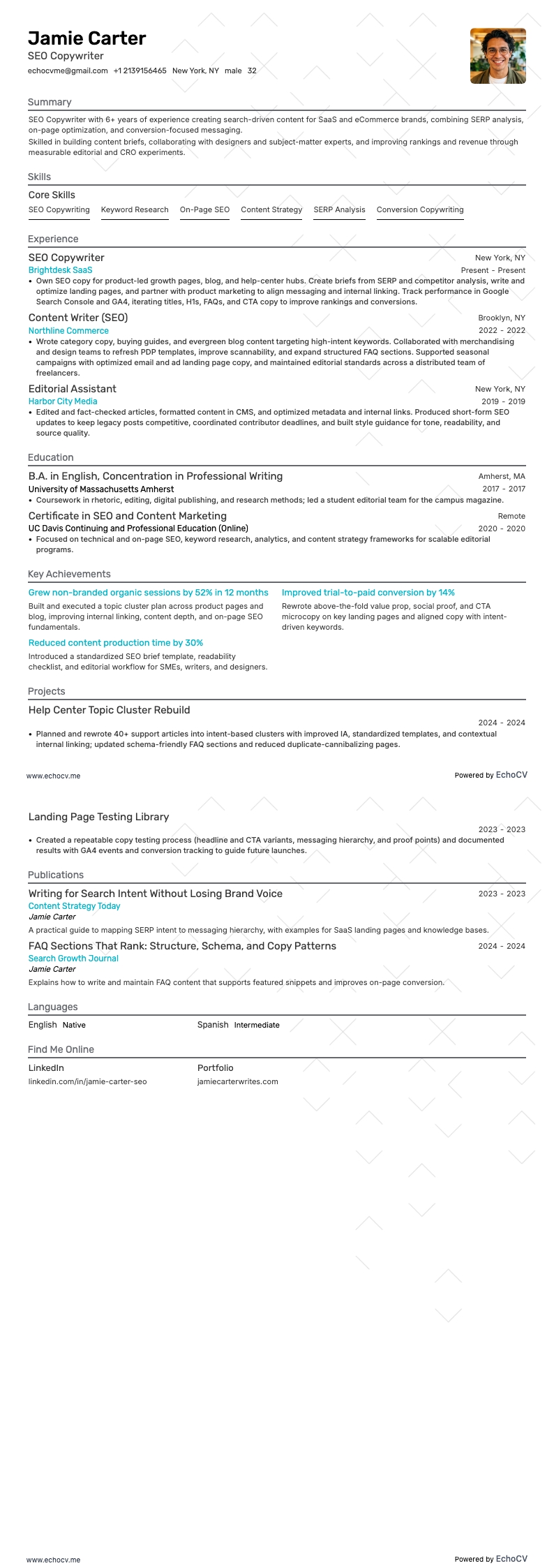 Seo Copywriter example resume