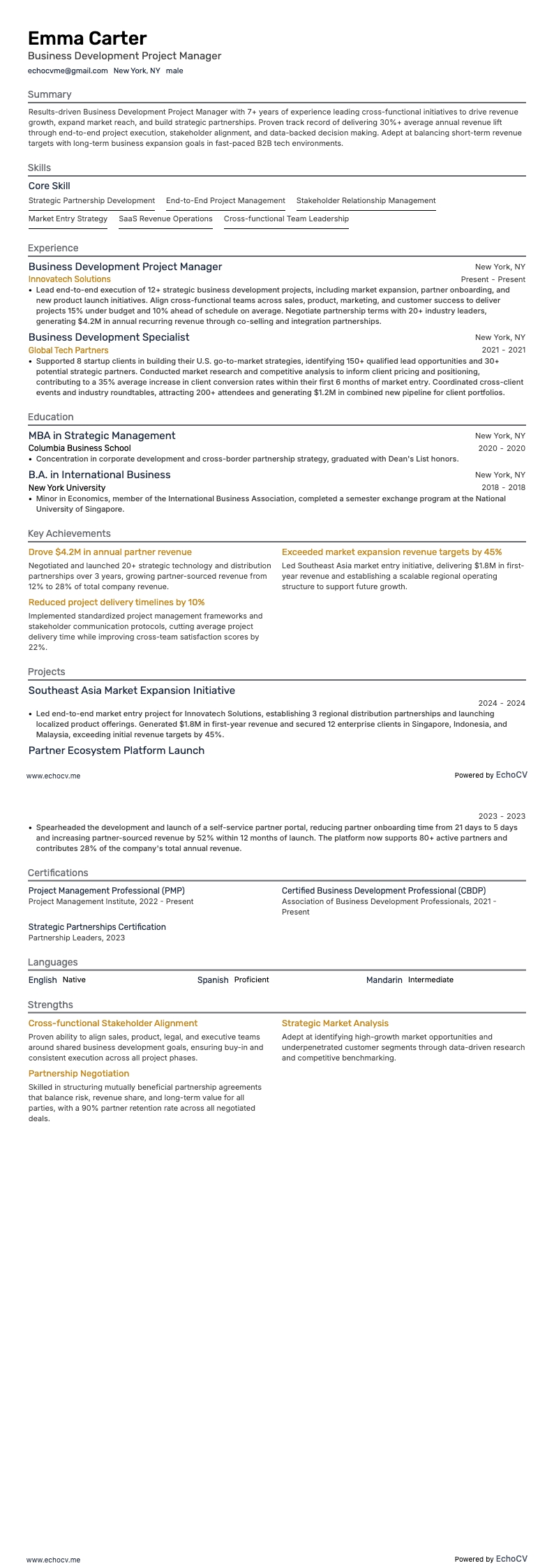Business Development Project Manager example resume