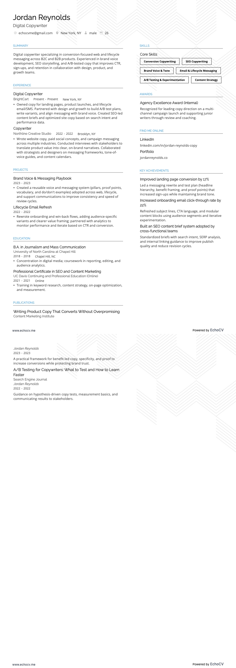 Digital Copywriter example resume