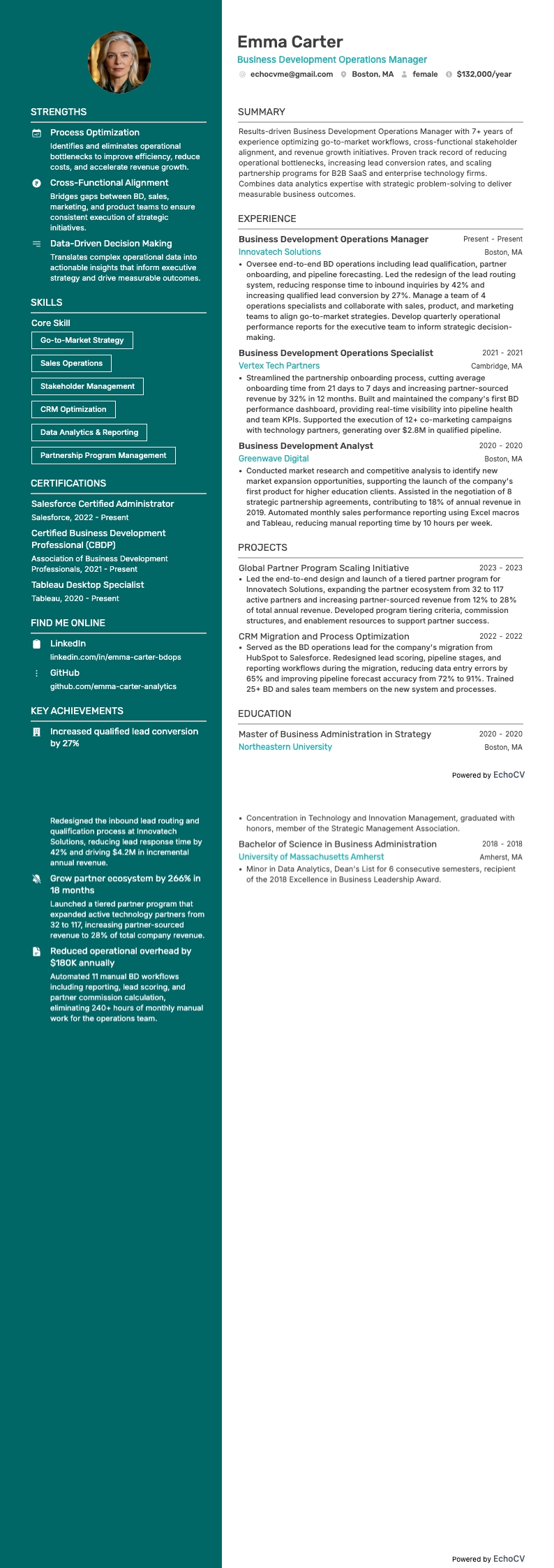 Business Development Operations Manager example resume