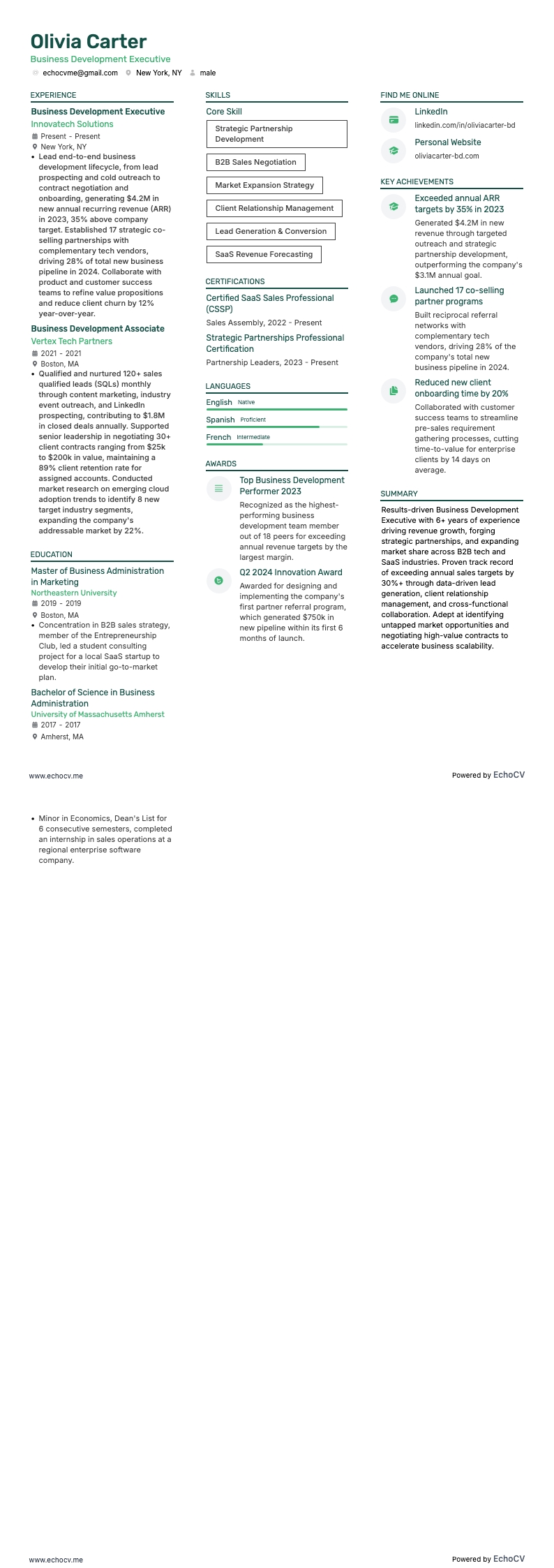 Business Development Executive example resume