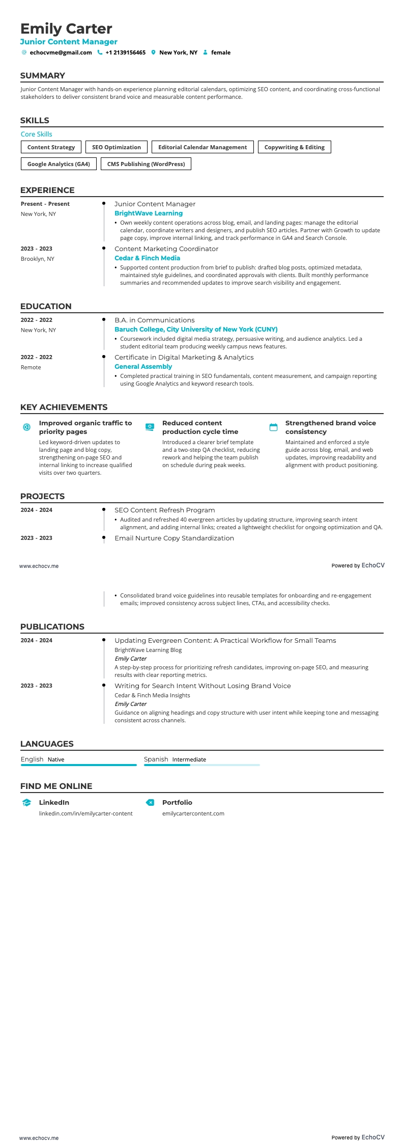 Junior Content Manager full preview
