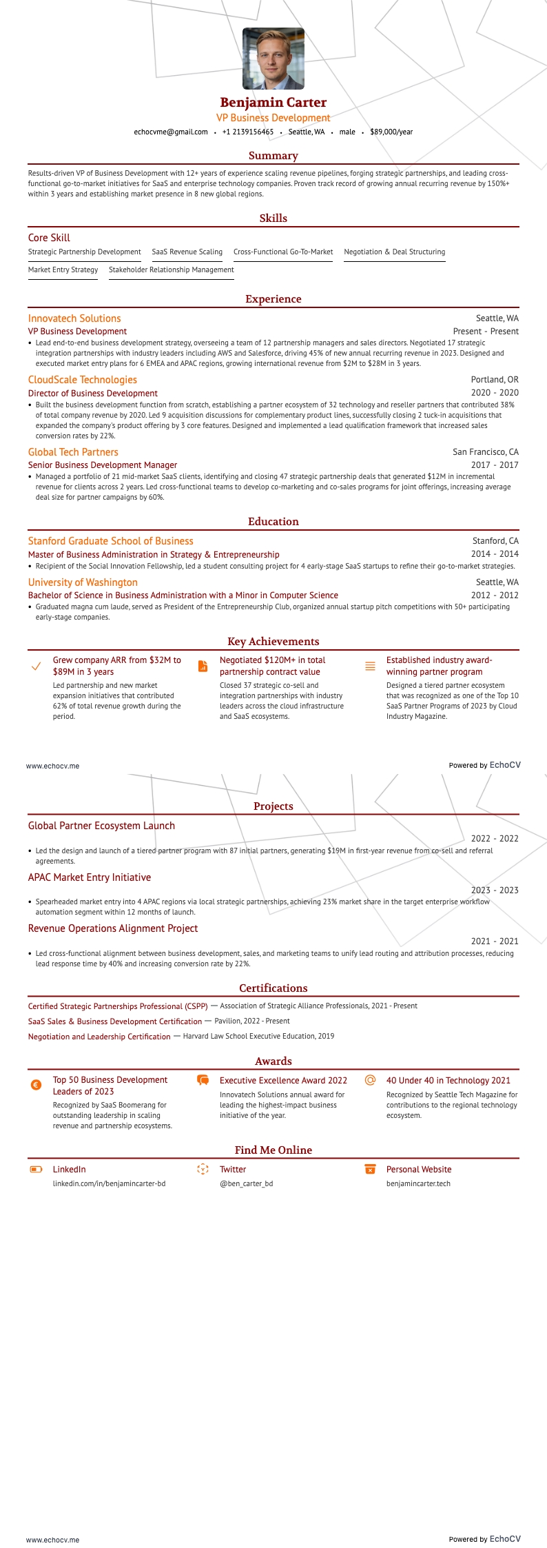VP Business Development example resume