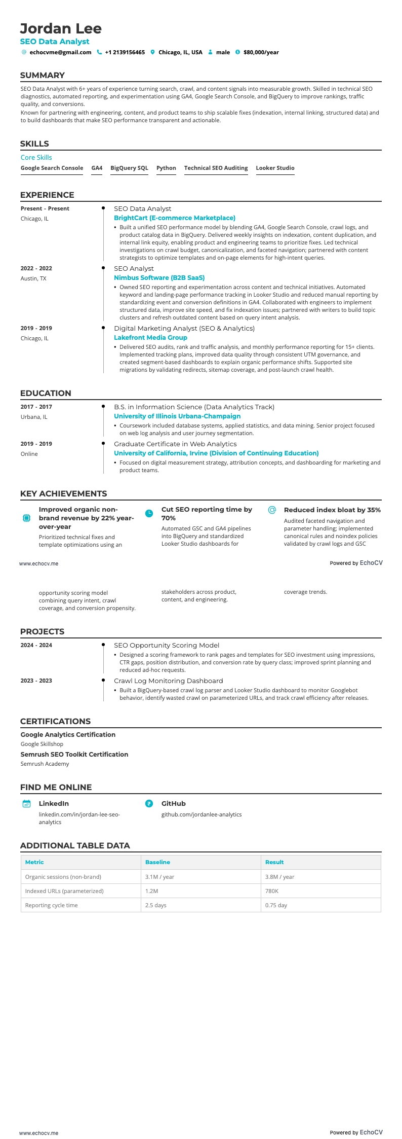 SEO Data Analyst example resume