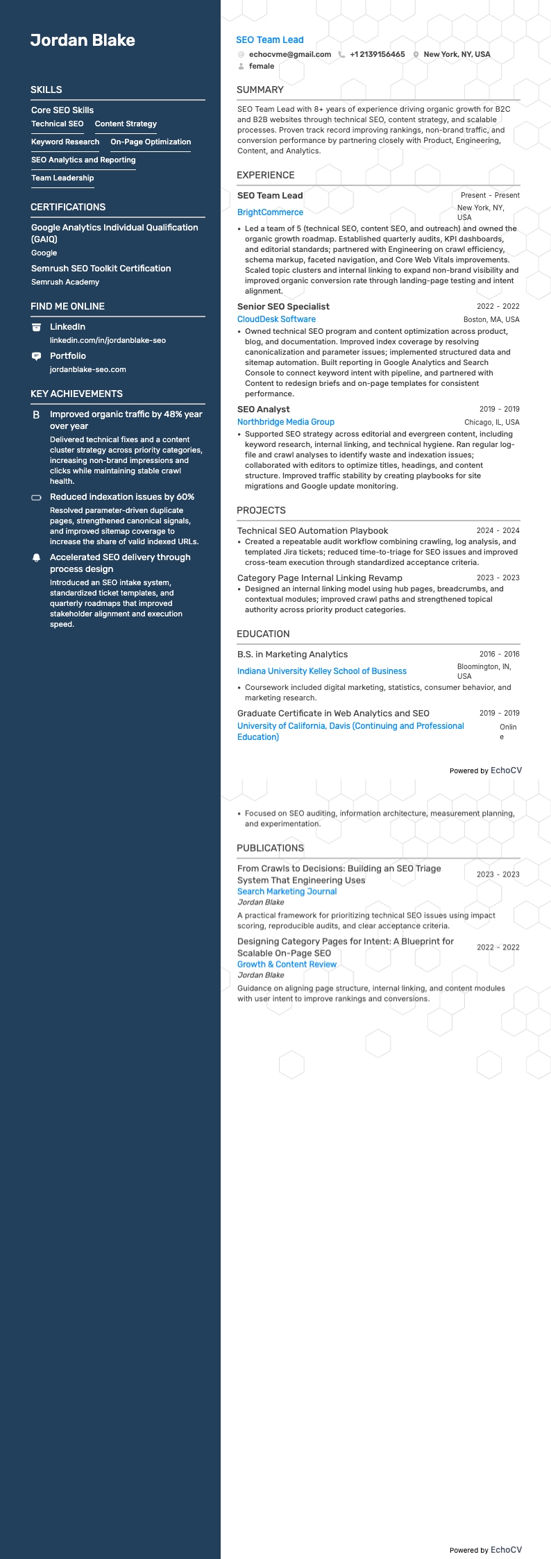 SEO Team Lead full preview