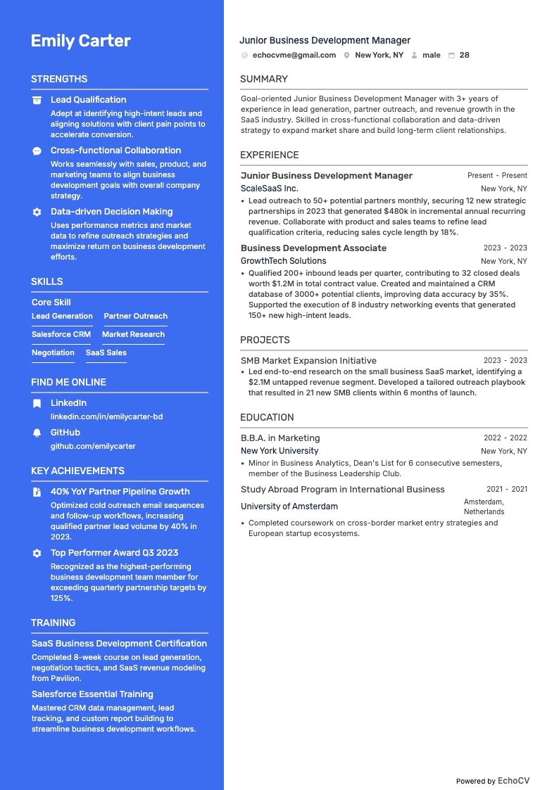 Junior Business Development Manager example resume