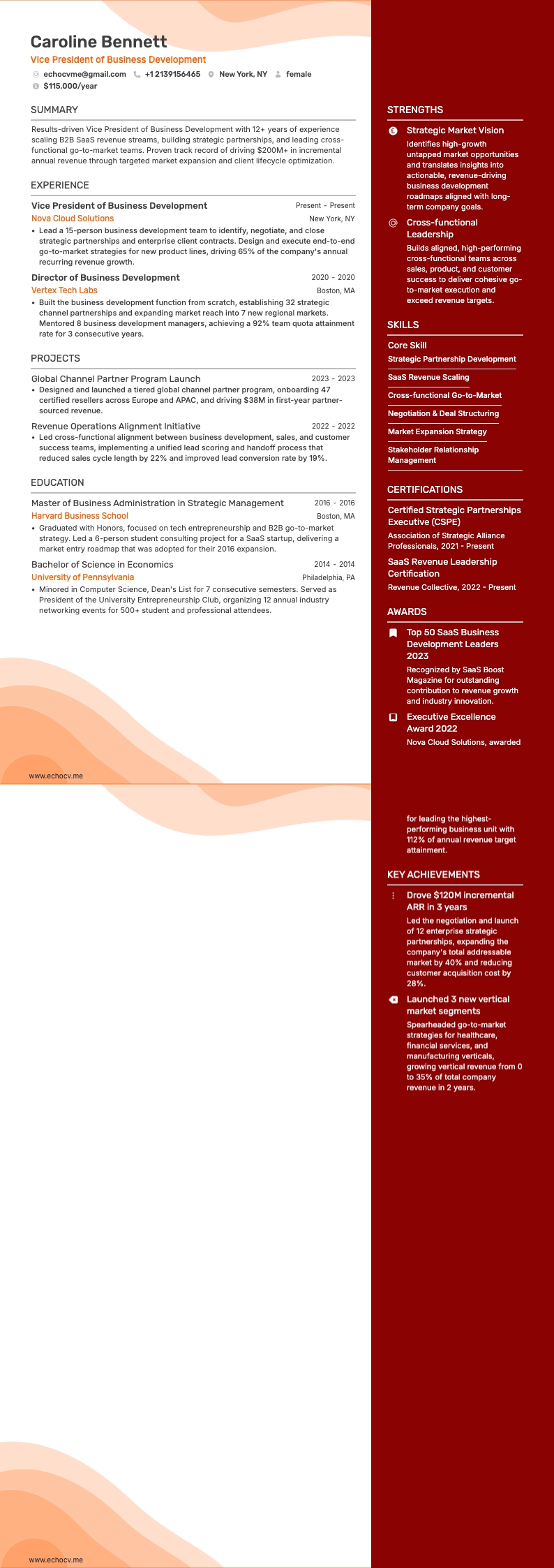 Business development resume example