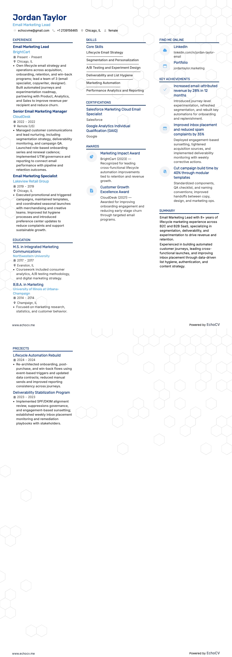 Email Marketing Lead full preview