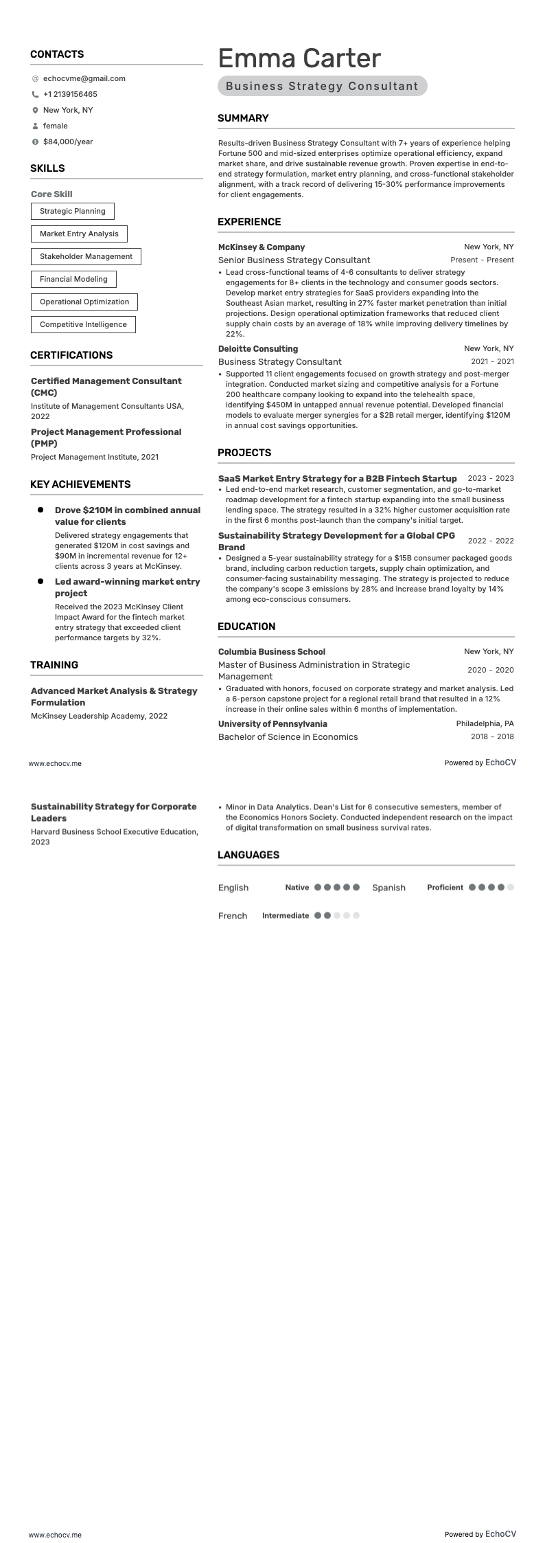 Business Strategy Consultant example resume