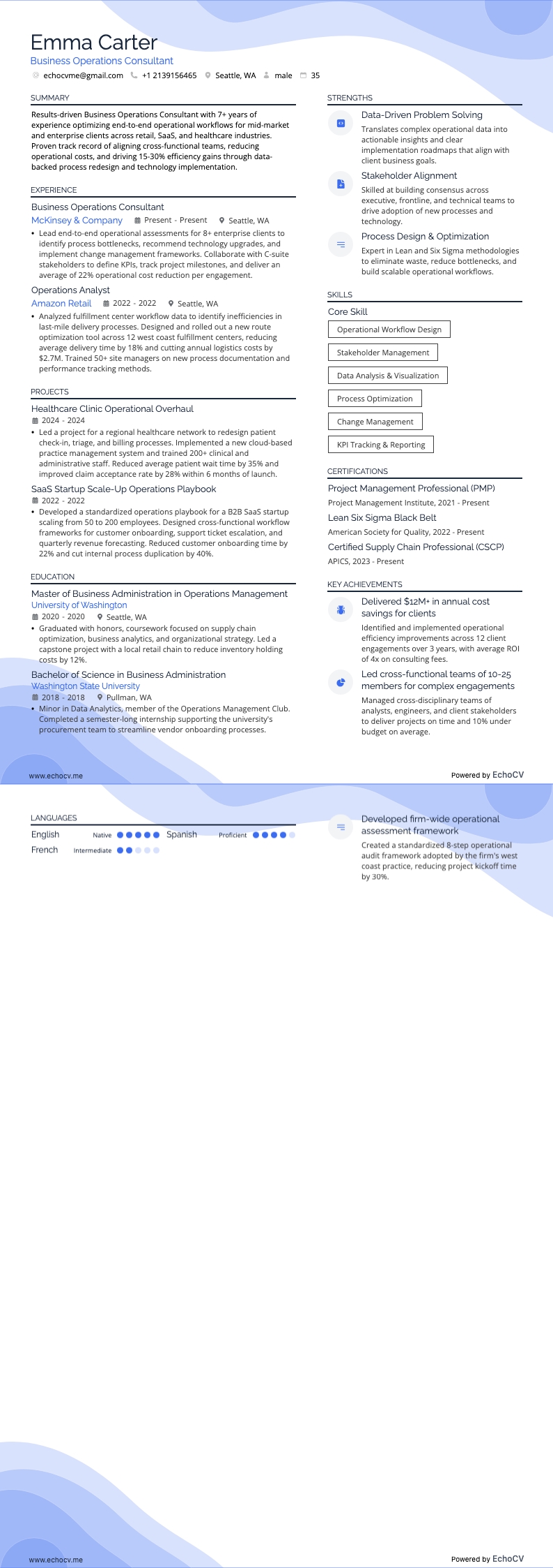 Consultant en stratégie d’entreprise resume example