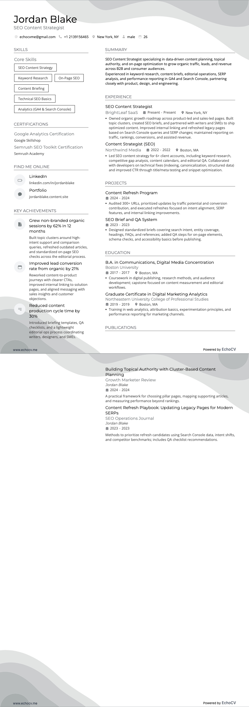 SEO Content Strategist example resume