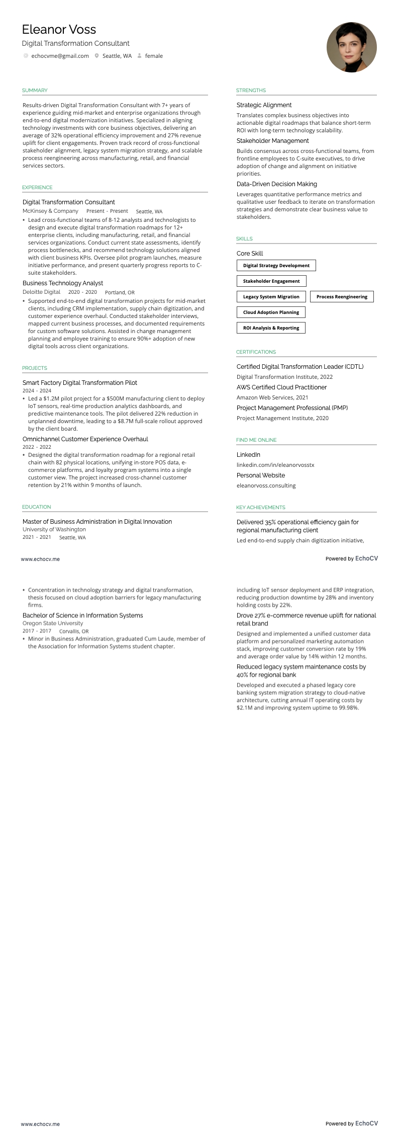 Digital Transformation Consultant example resume