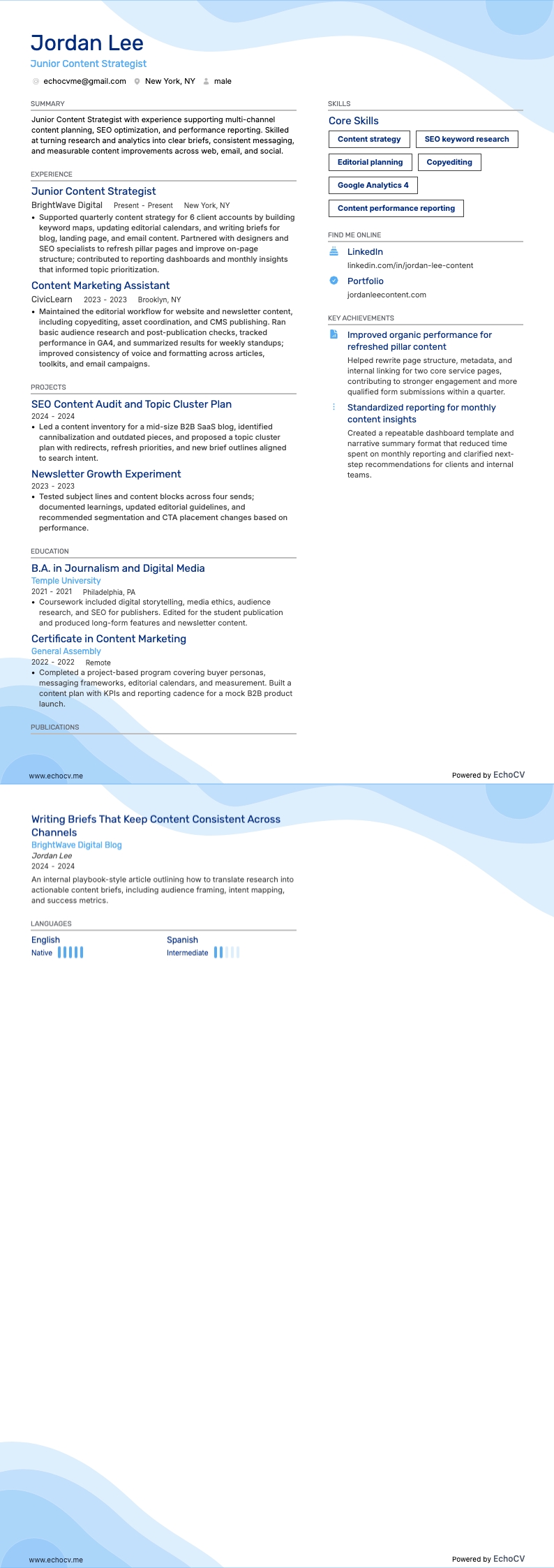 Junior Content Strategist example resume