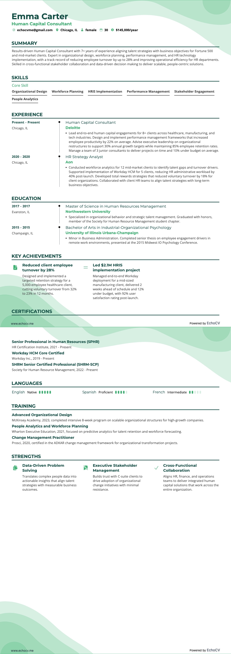 Human Capital Consultant example resume