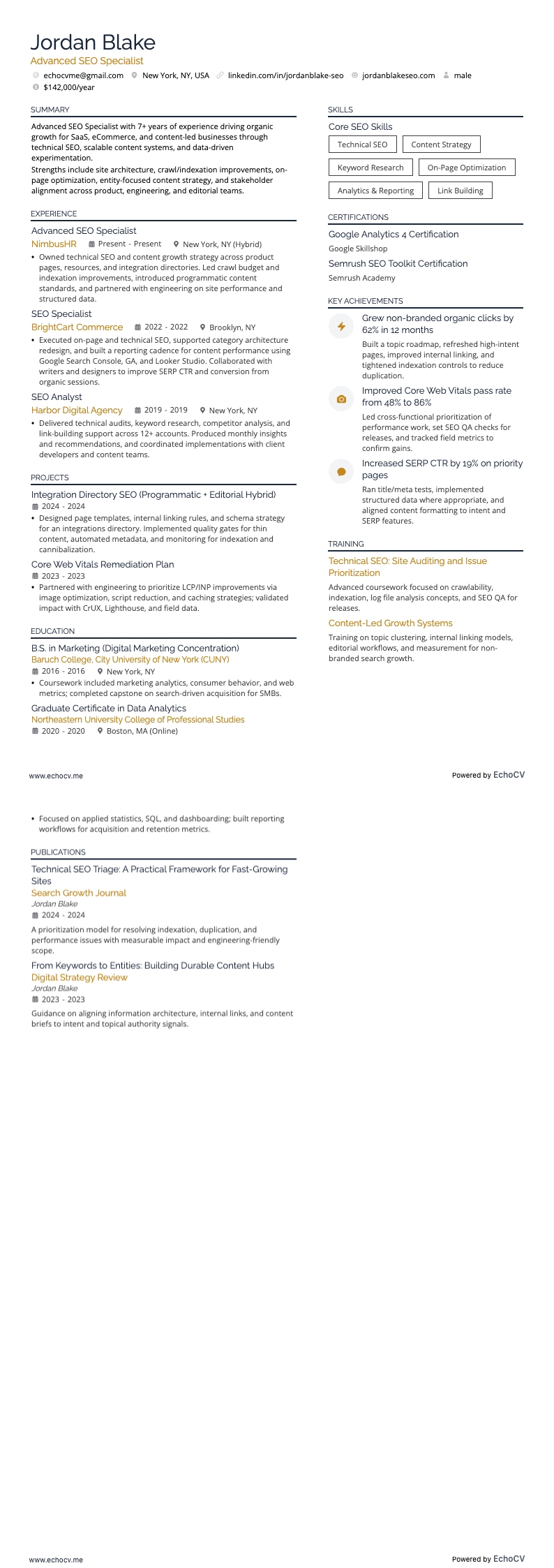 고급 SEO 전문가 example resume