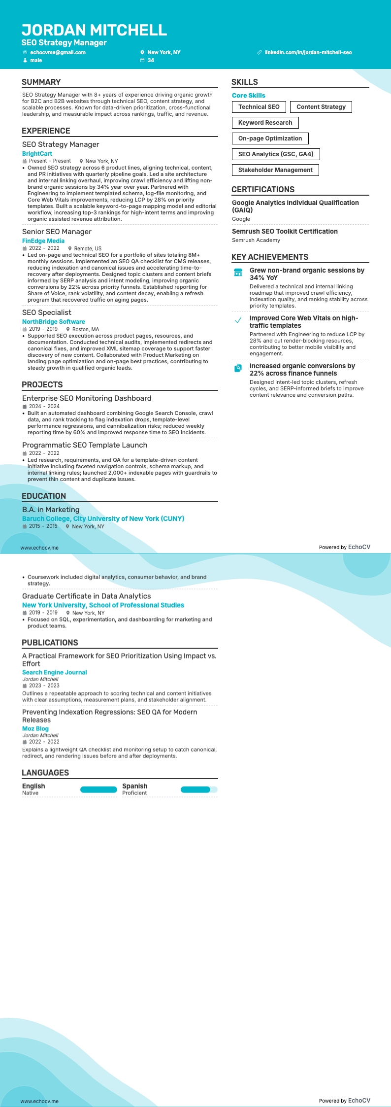 SEO Strategy Manager example resume