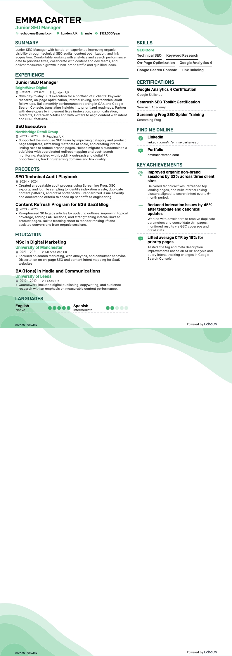 Junior SEO Manager example resume