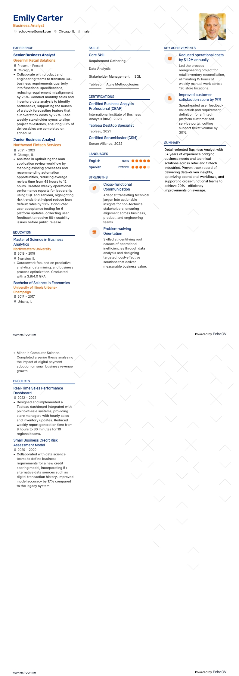 Business Consultant resume example