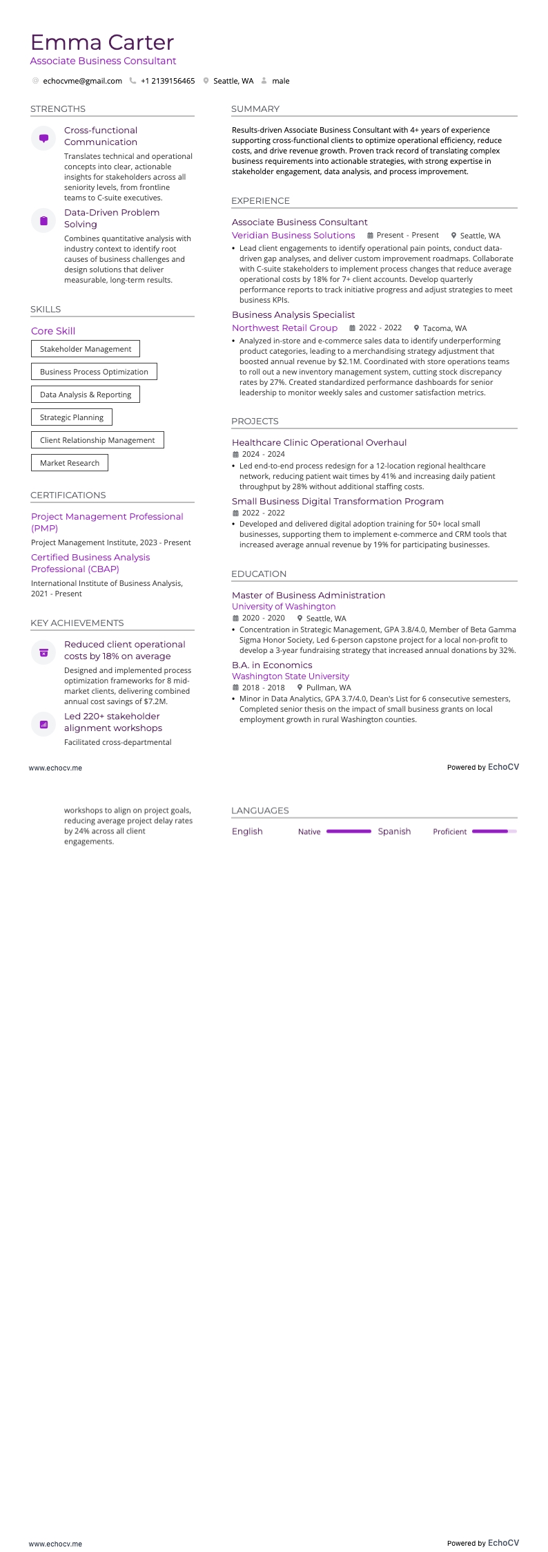 Associate Business Consultant example resume