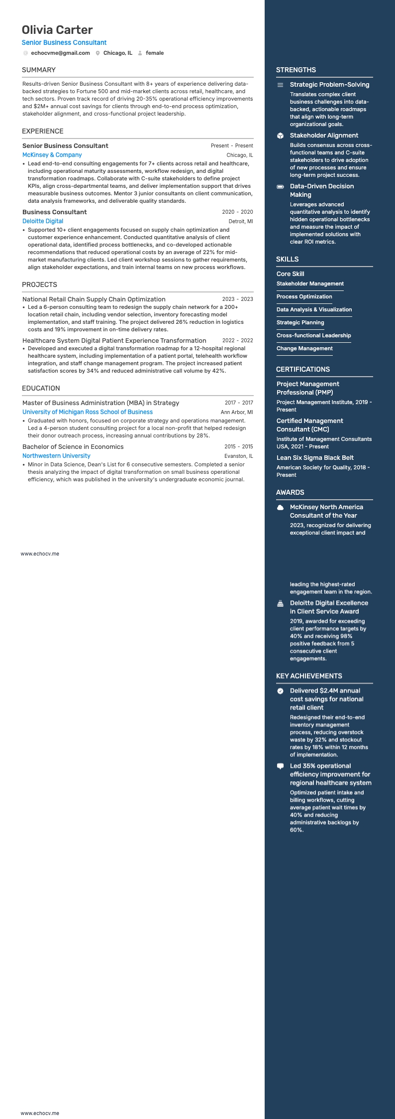 Senior Business Consultant example resume