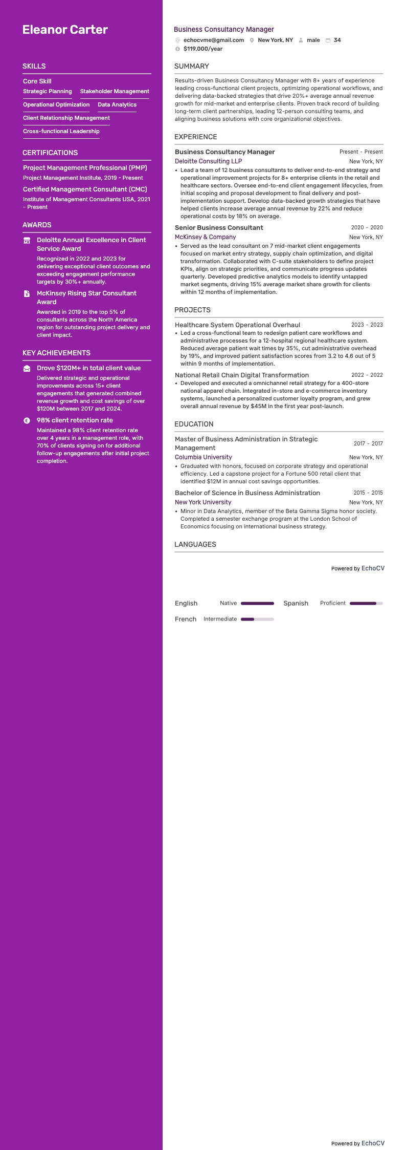 Business Consultancy Manager example resume