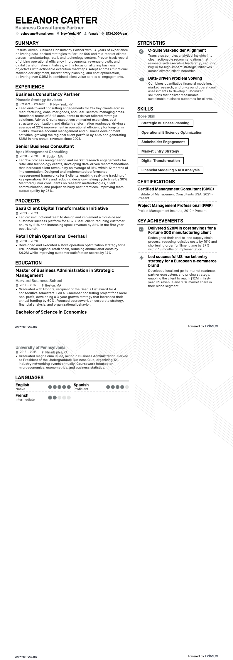 Business Consultancy Partner full preview