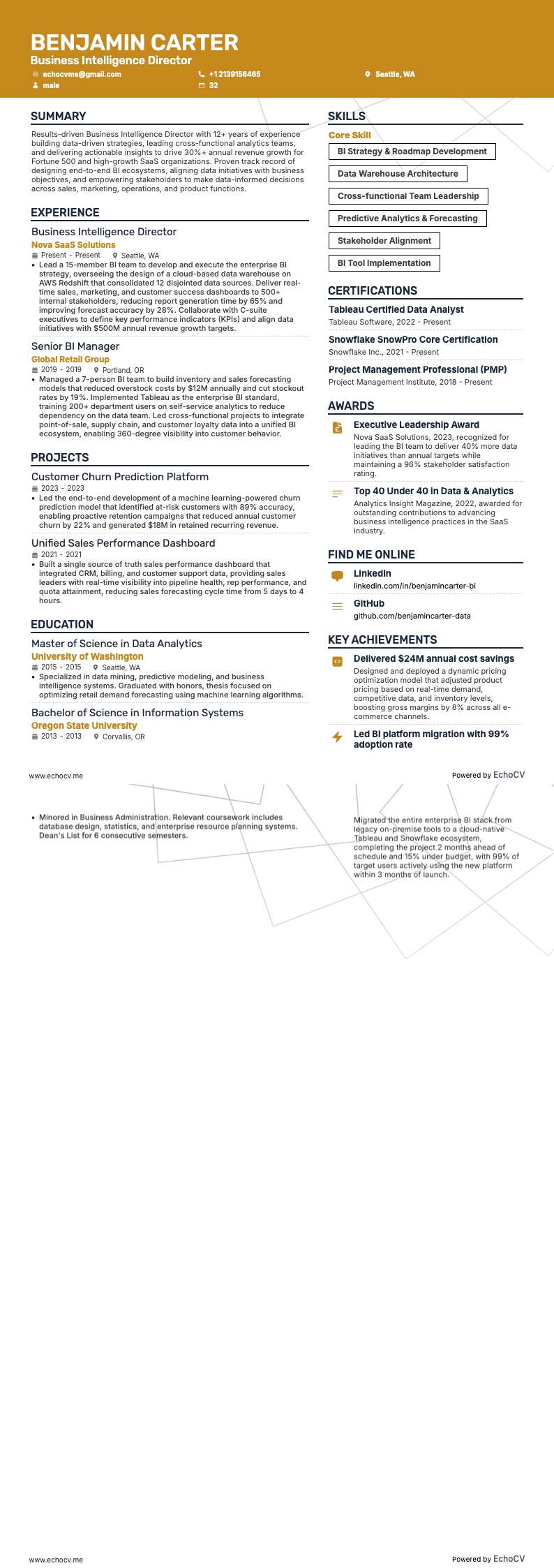 Business Intelligence Director example resume